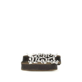 حزام عادي من جلد العجل البني Bos Taurus