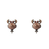 Bicolor Silver Earrings