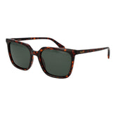 Brown Polycarbonate Sunglasses