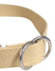 Men Beige Canvas Silver Metal Buckle Cintura Belt