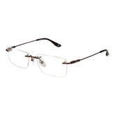 Brown Titanium Glasses (Frames)