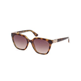 Brown Resin Sunglasses