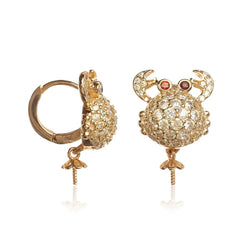 أقراط من الذهب والفضة