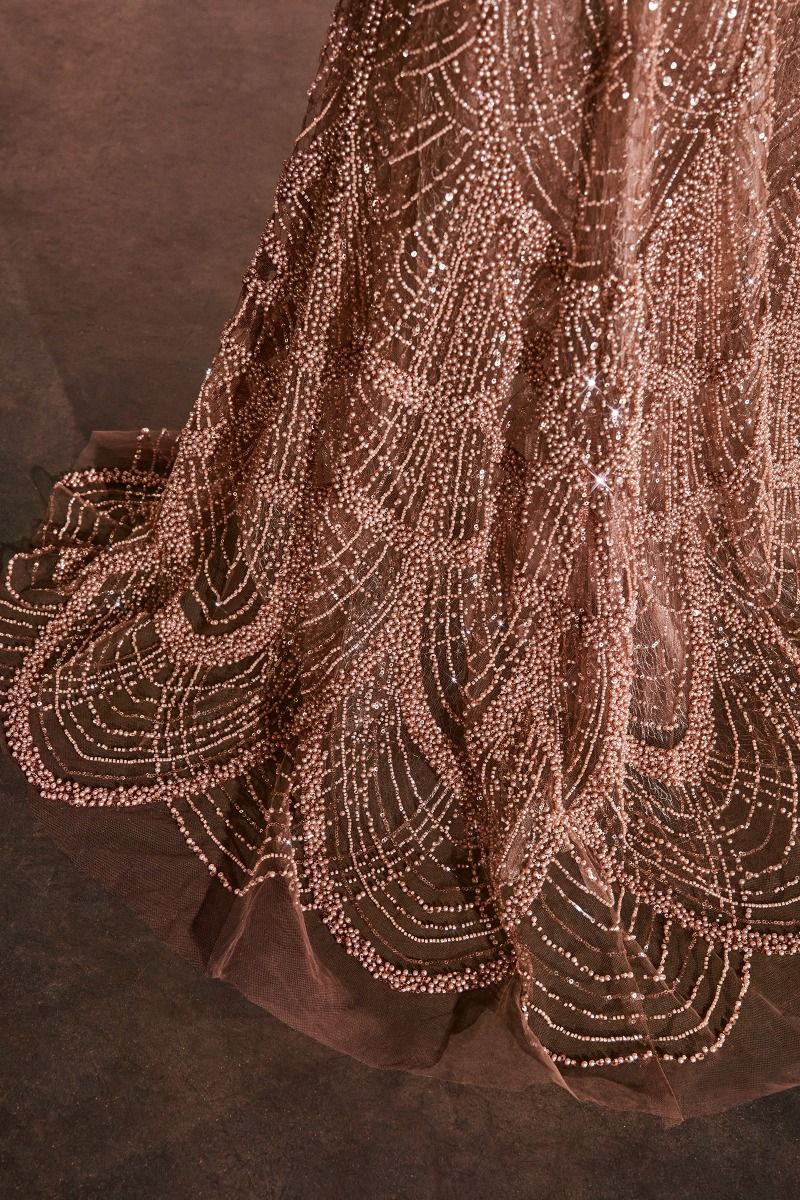 Fully Embellished Fit & Flare Gown-4