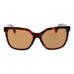 Brown  Sunglasses