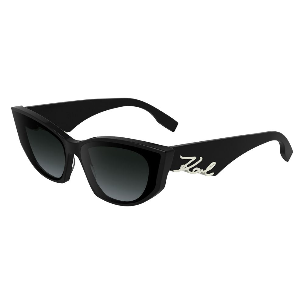Black Acetate Sunglasses
