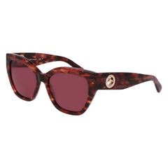 Brown Acetate Sunglasses