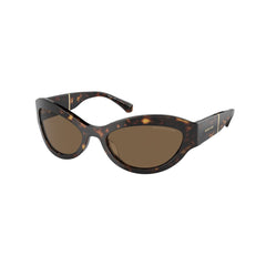 Brown Acetate Sunglasses