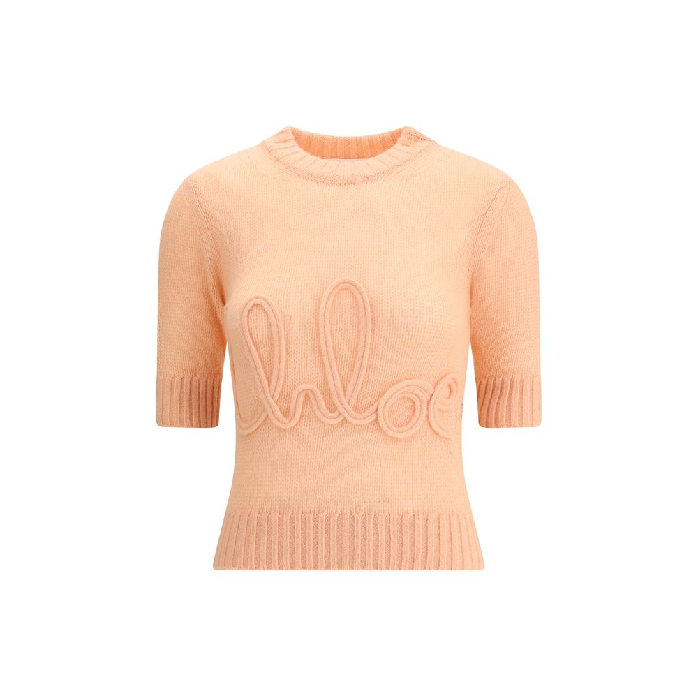 Orange Alpaca Vicugna Pacos Sweatshirt