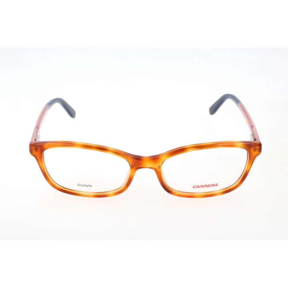 Brown Acetate Glasses (Frames)