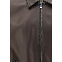 Brown Lamb Ovis Aries Aries Bomber