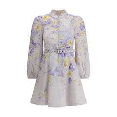 Crush buttoned mini Dress