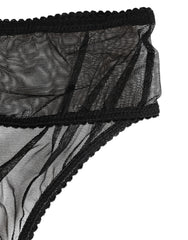 Black Sheer Mesh Lace Bikini Briefs Underwear