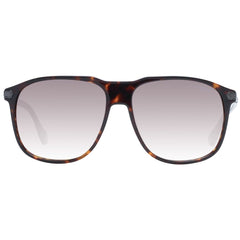 Brown Men Sunglass