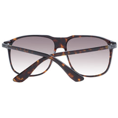 Brown Men Sunglass