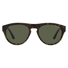 Brown Acetate Sunglasses