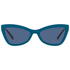 Blue Resin Sunglasses