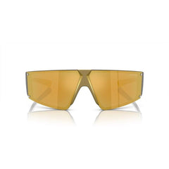 Gold Resin Sunglasses