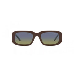 Brown Resin Sunglasses