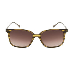 Brown Titanium Sunglasses