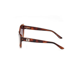 Brown Resin Sunglasses