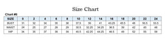 A-Line Layered Tulle Plus Size Dress-3