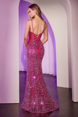 Fitted Sequin Dress-1