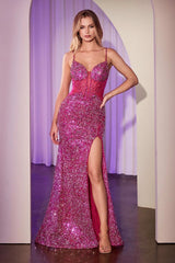 Fitted Sequin Dress-0