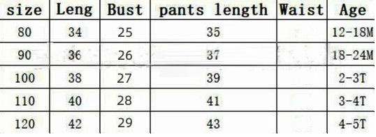 Short Sleeve Flounced Sleeve T-shirt Floral Suspender Pants Suit